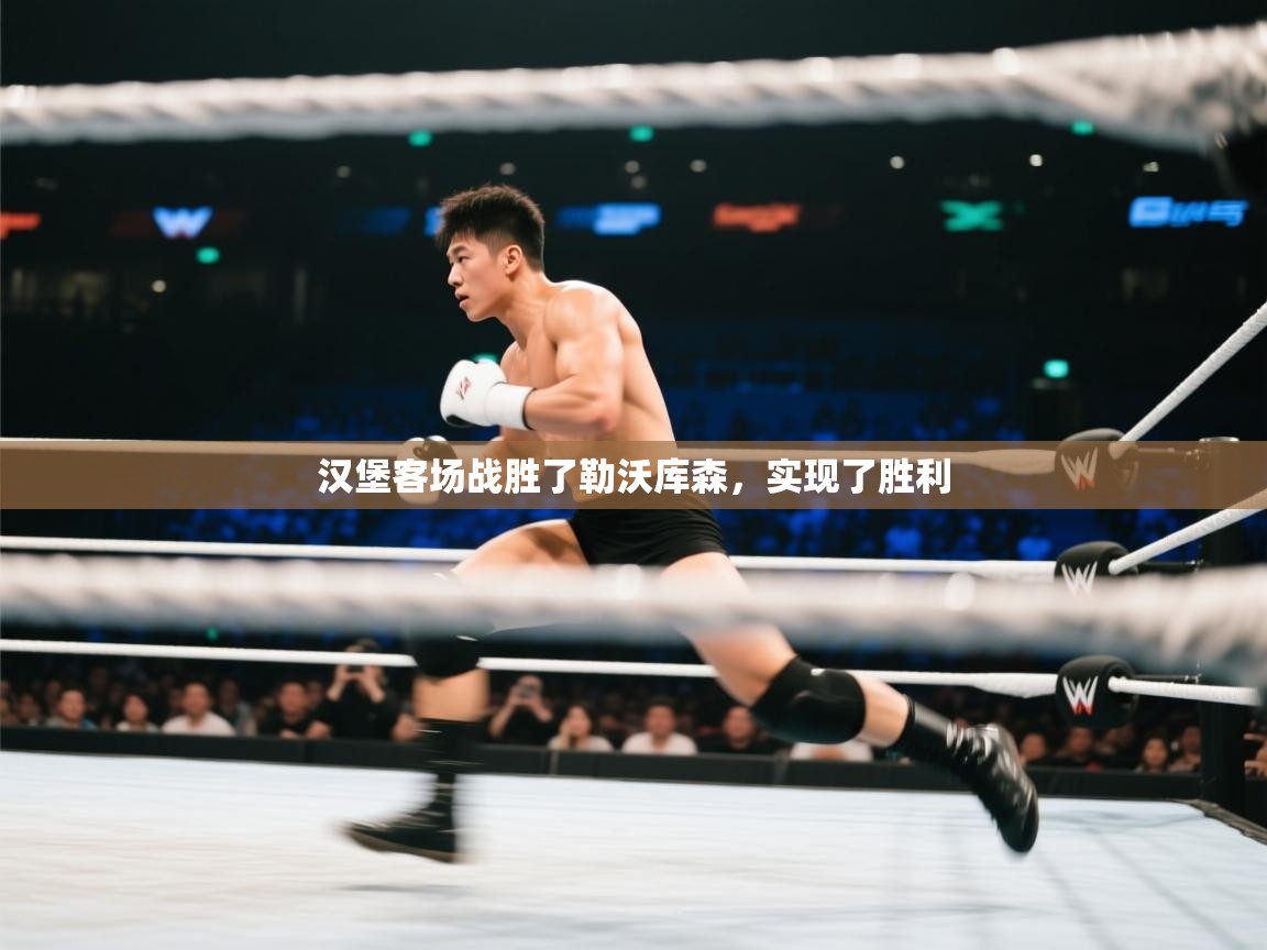 汉堡客场战胜了勒沃库森,实现了胜利 第2张