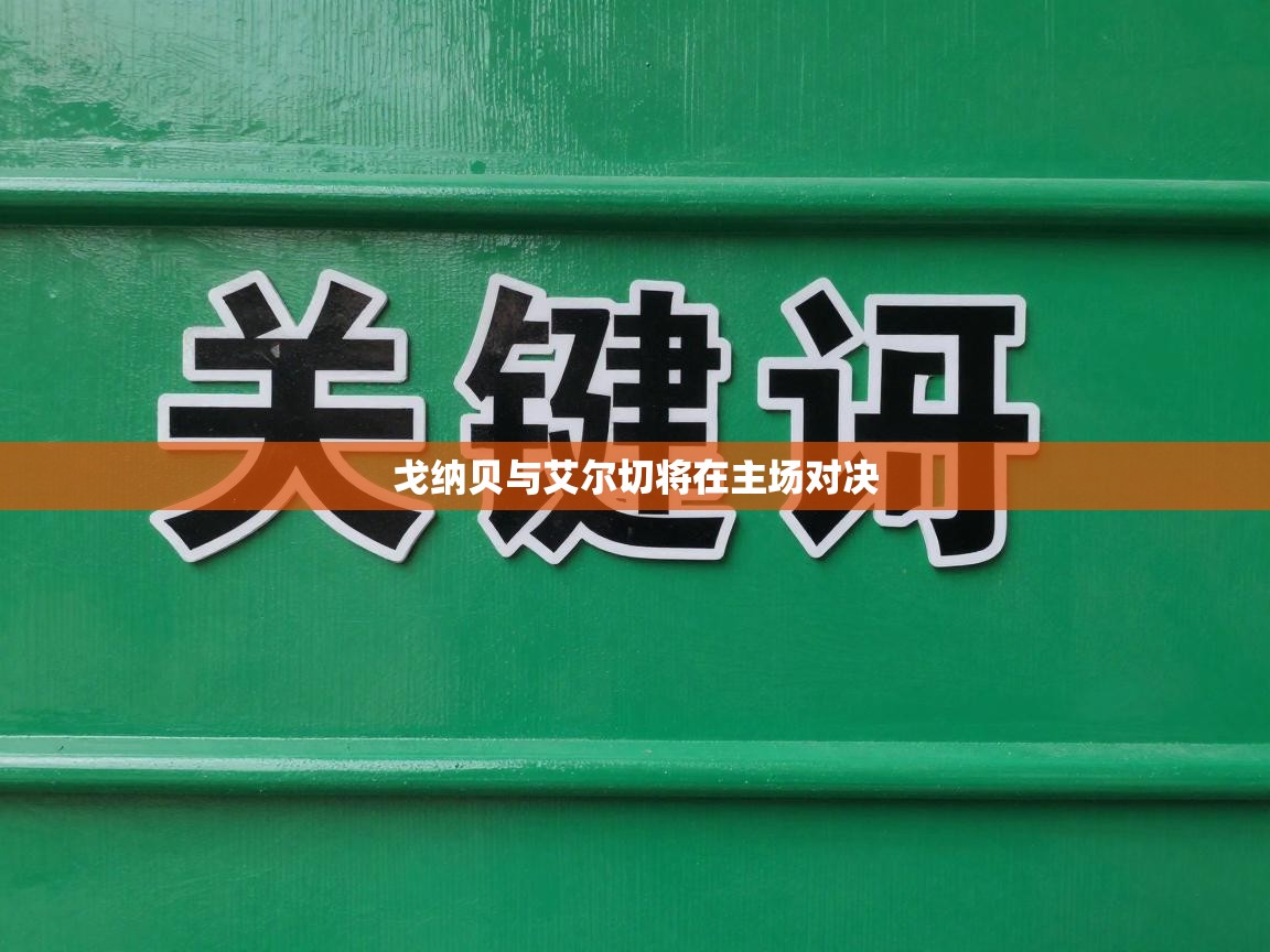 戈纳贝与艾尔切将在主场对决  第1张