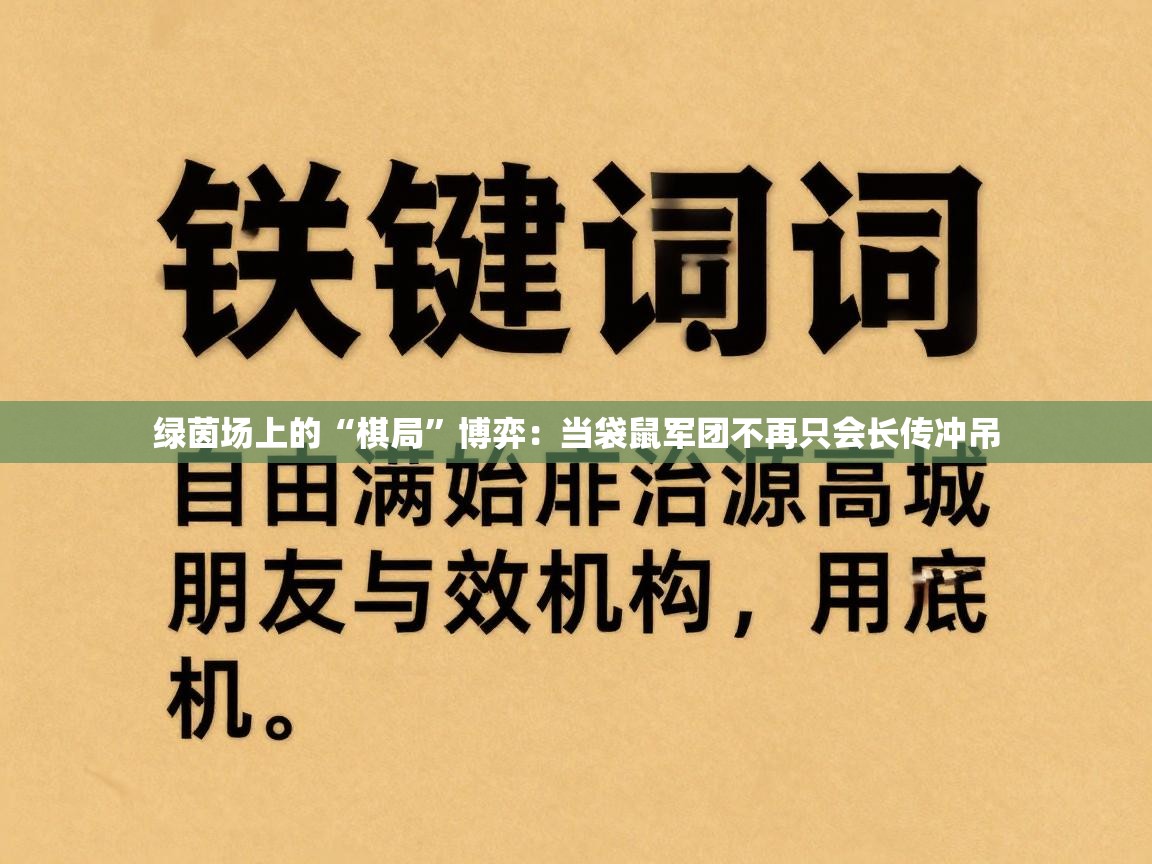绿茵场上的“棋局”博弈：当袋鼠军团不再只会长传冲吊  第1张