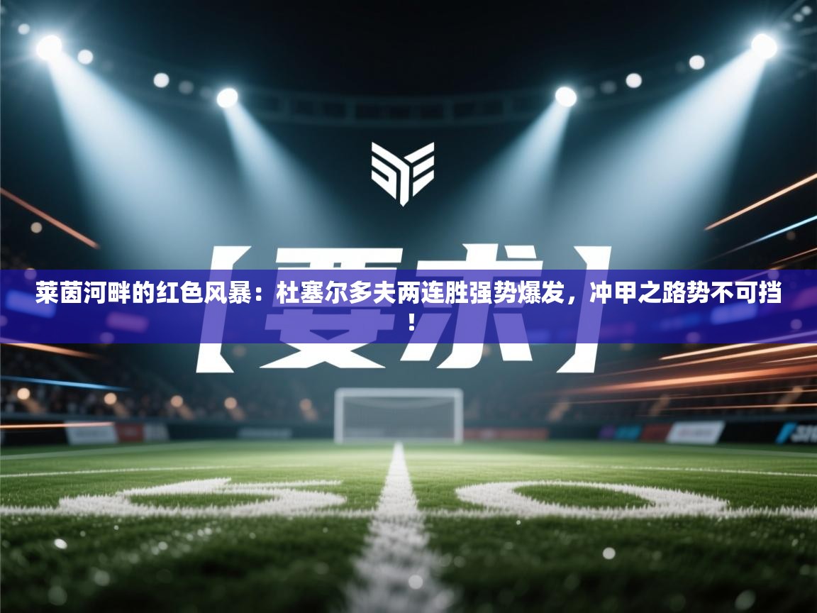 莱茵河畔的红色风暴：杜塞尔多夫两连胜强势爆发，冲甲之路势不可挡！  第2张