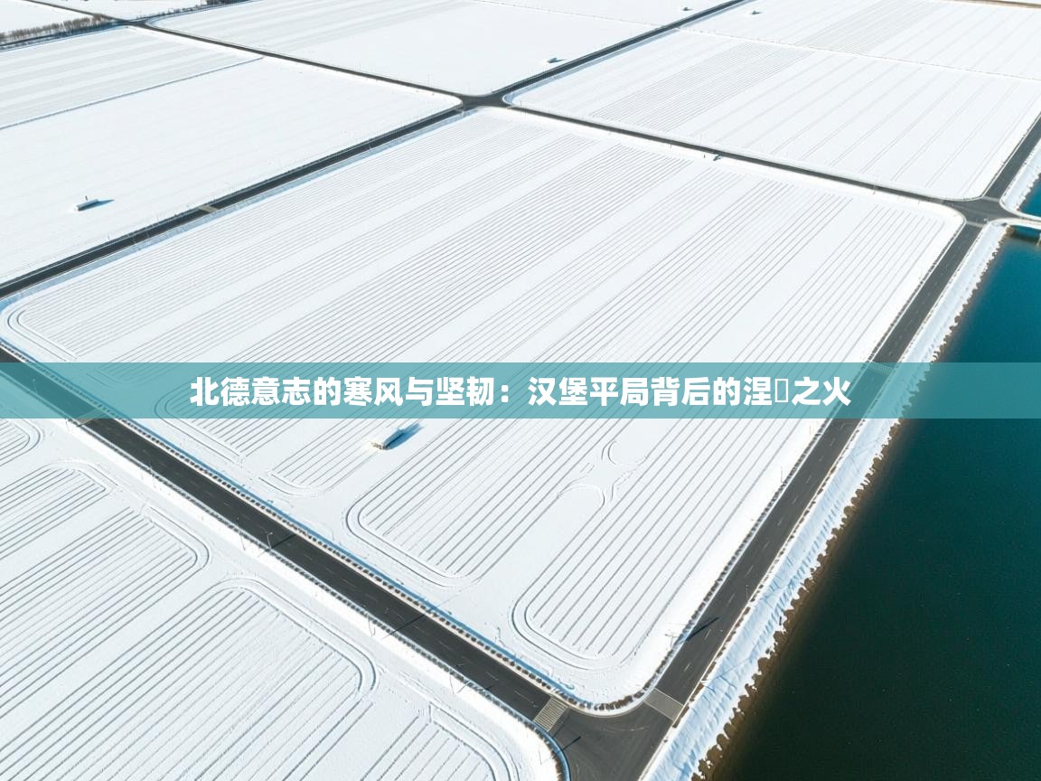 北德意志的寒风与坚韧：汉堡平局背后的涅槃之火  第1张