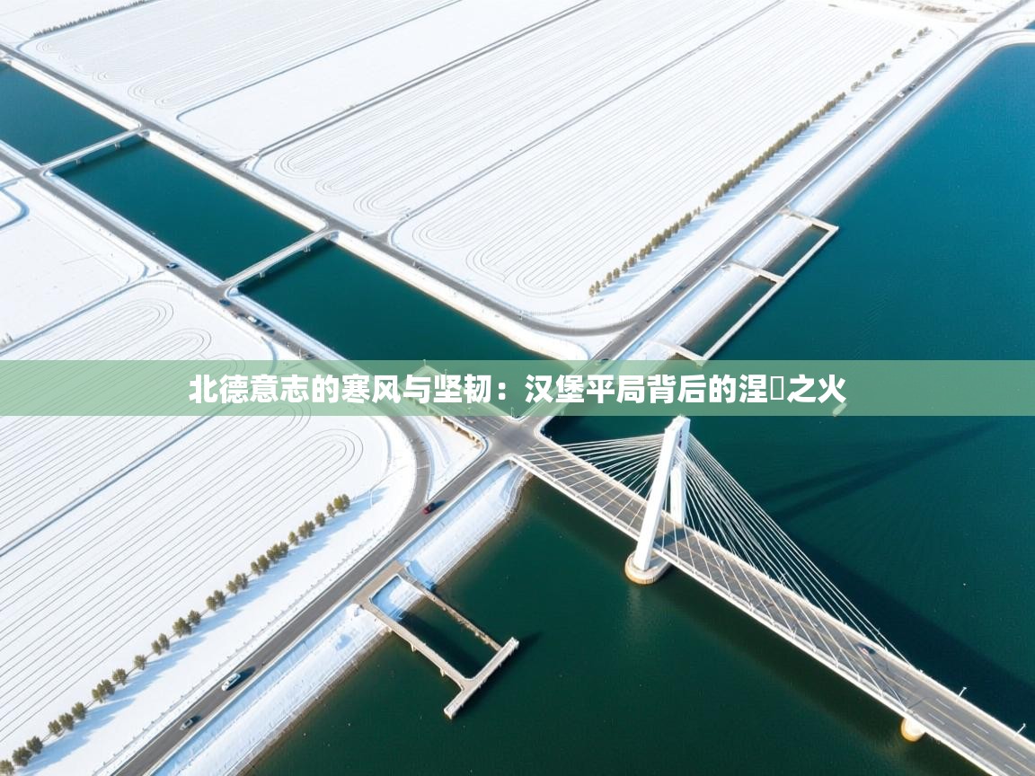 北德意志的寒风与坚韧：汉堡平局背后的涅槃之火  第2张