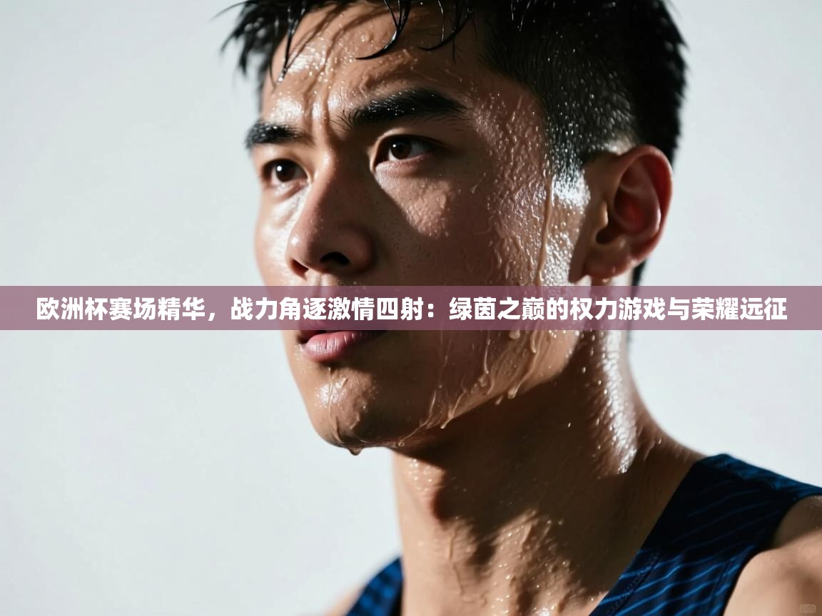欧洲杯赛场精华，战力角逐激情四射：绿茵之巅的权力游戏与荣耀远征
