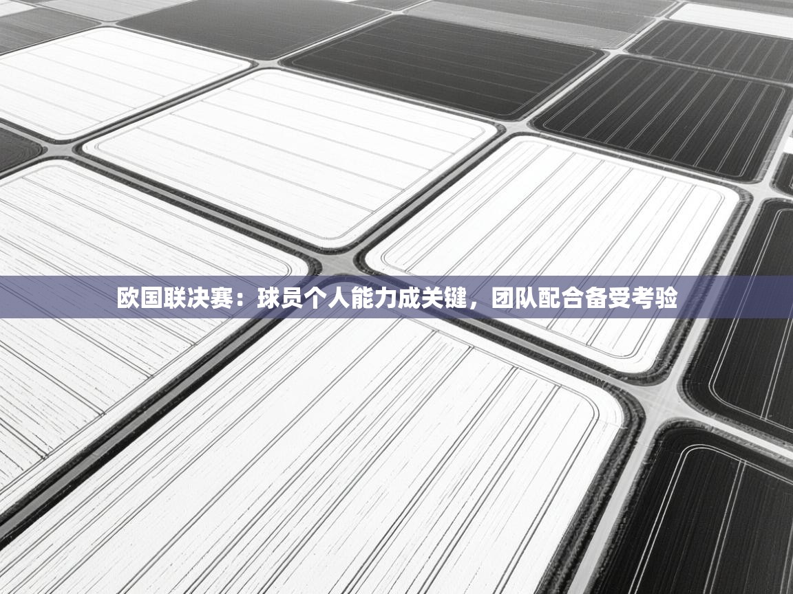 欧国联决赛：球员个人能力成关键，团队配合备受考验  第2张
